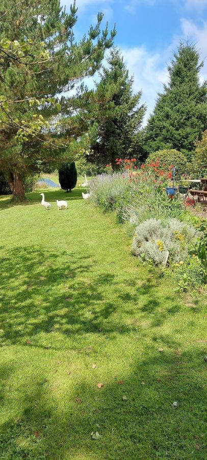 Le Sanctuaire Bed & Breakfast Missillac Екстериор снимка